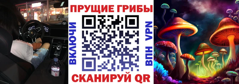 Галлюциногенные грибы Cubensis Туапсе